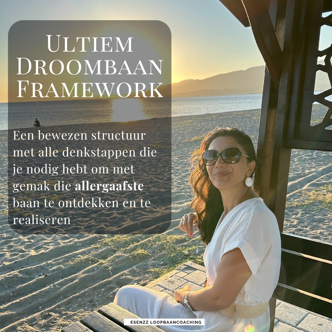 E-guide Ultiem Droombaan Framework E-Guide: Ultiem droombaan framework voor meer Glow & Flow in je loopbaan, gericht op carrierevrouwen - Esenzz Looopbaancoaching