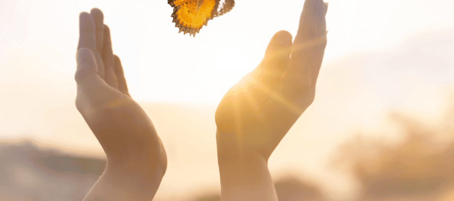 Foto van vrijlaten van een vlinder, het gaat over bevrijden van je belemmerende mindset bij Esenzz Loopbaancoaching